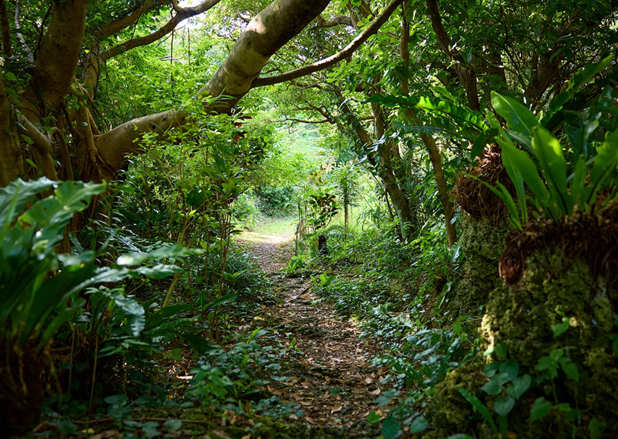 神の島を望む、静寂と祈りの里。